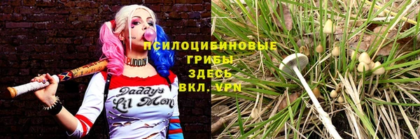 ECSTASY Ростов